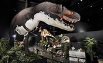 Branson Dinosaur Museum - Branson, Missouri 2022 / 2023 Information, attraction tickets, schedule, and map