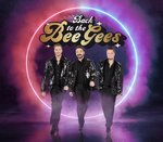Back to the BeeGees - Branson, Missouri 2022 / 2023 Information, discount show tickets, schedule, and map