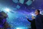 Aquarium at the Boardwalk - Branson, Missouri 2022 / 2023 Information, attraction tickets, schedule, and map